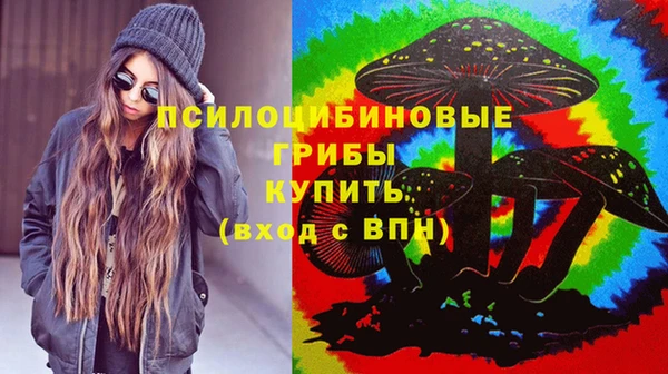 гидра Алексин