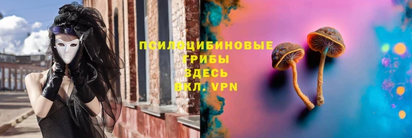 тгк Алзамай