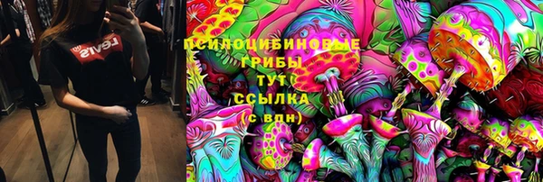 тгк Алзамай