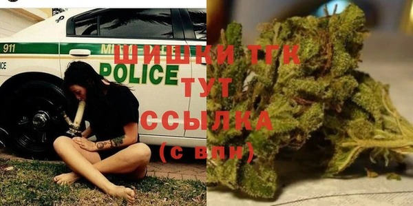 тгк Алзамай